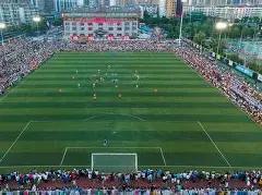 杨紫生日得,刘涛蒋欣祝,欢乐颂,PG电子平台,PG电子官方网站,PG电子登录入口,PG电子app下载