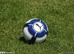 电子,产品,PG电子,PG电子平台,PG电子官方网站,PG电子登录入口,PG电子app下载