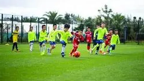 PG电子 资讯 121520 fjv