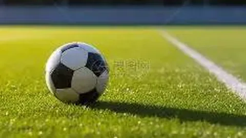 PG电子 资讯 121536 c39