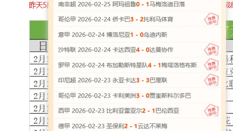 图赫尔现场督战：切尔西与热刺斯坦福桥激战